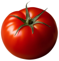 Tomate